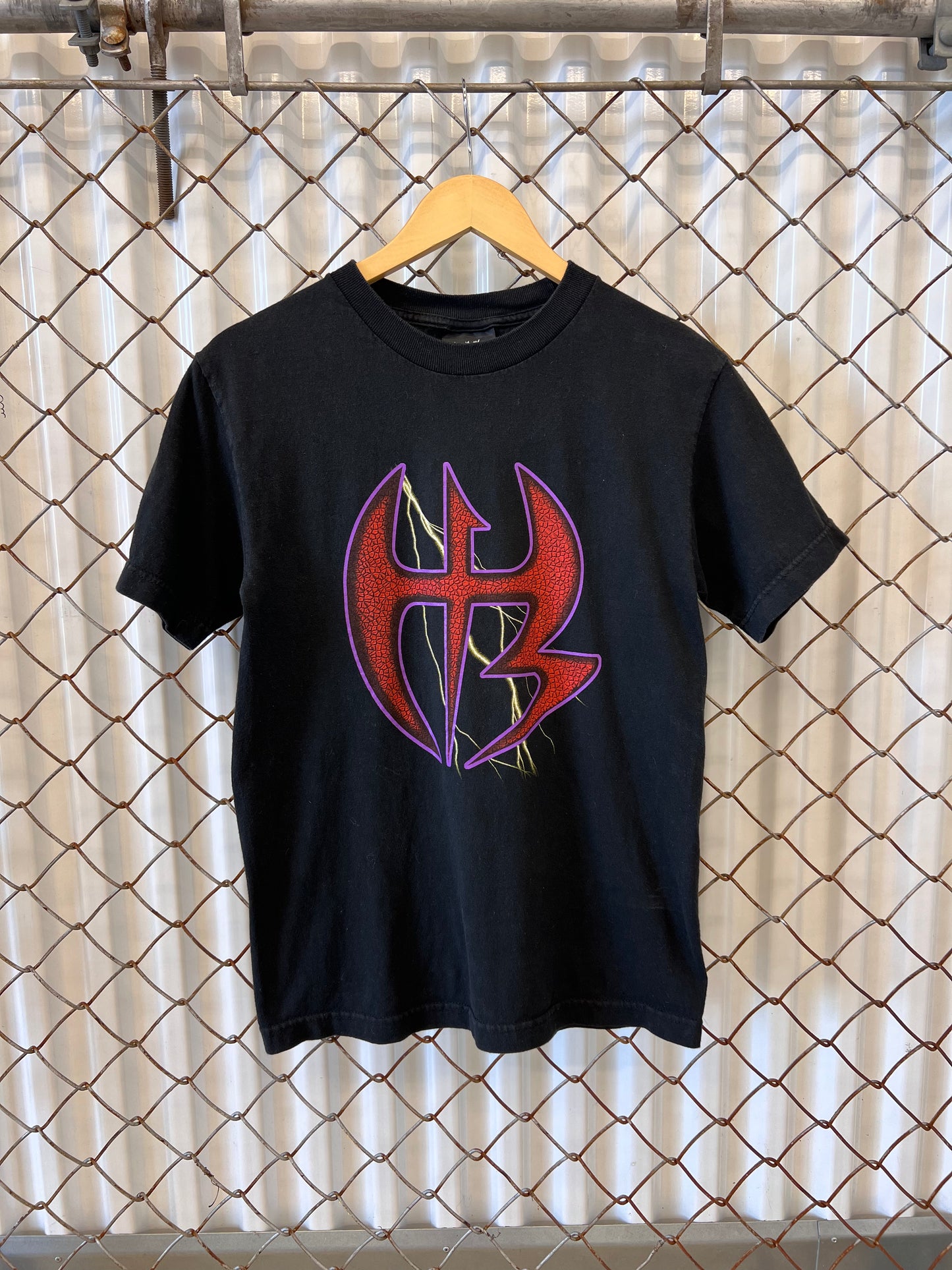 Vintage WWE Hardy Boyz Shirt